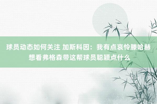 球员动态如何关注 加斯科因：我有点哀怜滕哈赫 想看弗格森带这帮球员聪颖点什么