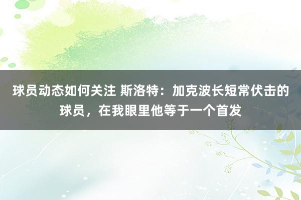 球员动态如何关注 斯洛特：加克波长短常伏击的球员，在我眼里他等于一个首发