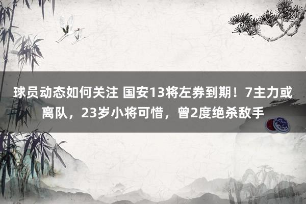 球员动态如何关注 国安13将左券到期！7主力或离队，23岁小将可惜，曾2度绝杀敌手