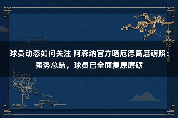 球员动态如何关注 阿森纳官方晒厄德高磨砺照：强势总结，球员已全面复原磨砺