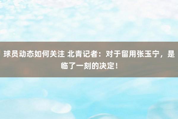 球员动态如何关注 北青记者：对于留用张玉宁，是临了一刻的决定！