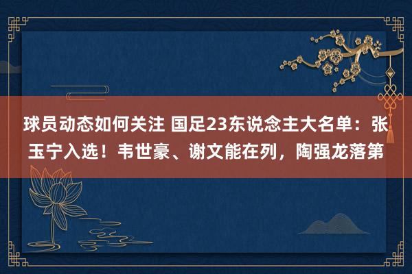 球员动态如何关注 国足23东说念主大名单：张玉宁入选！韦世豪、谢文能在列，陶强龙落第