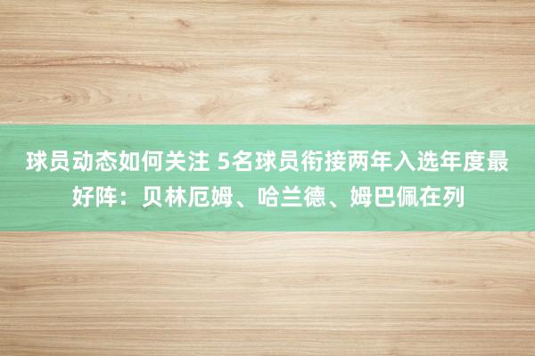 球员动态如何关注 5名球员衔接两年入选年度最好阵：贝林厄姆、哈兰德、姆巴佩在列