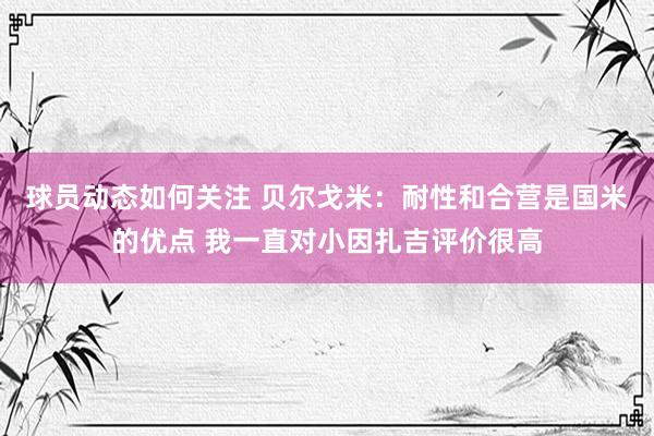 球员动态如何关注 贝尔戈米：耐性和合营是国米的优点 我一直对小因扎吉评价很高