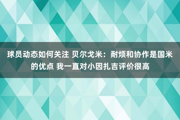 球员动态如何关注 贝尔戈米：耐烦和协作是国米的优点 我一直对小因扎吉评价很高