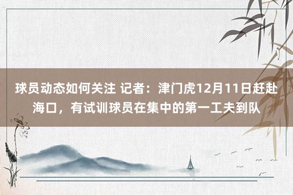 球员动态如何关注 记者：津门虎12月11日赶赴海口，有试训球员在集中的第一工夫到队