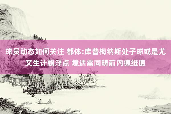 球员动态如何关注 都体:库普梅纳斯处子球或是尤文生计飘浮点 境遇雷同畴前内德维德