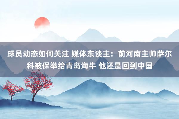 球员动态如何关注 媒体东谈主：前河南主帅萨尔科被保举给青岛海牛 他还是回到中国