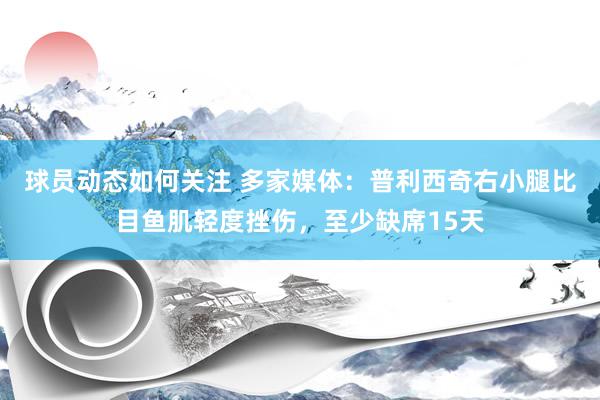 球员动态如何关注 多家媒体：普利西奇右小腿比目鱼肌轻度挫伤，至少缺席15天