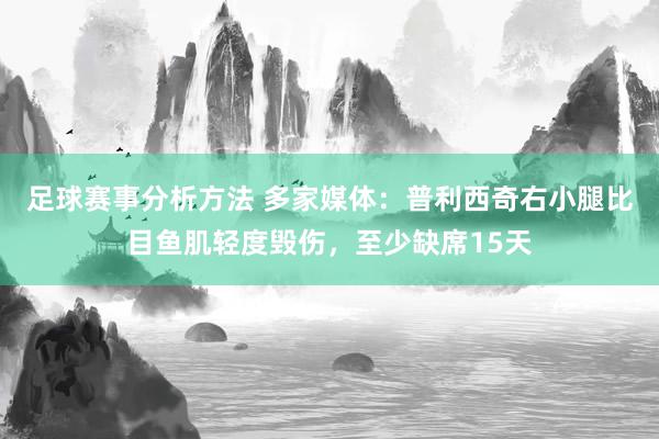 足球赛事分析方法 多家媒体：普利西奇右小腿比目鱼肌轻度毁伤，至少缺席15天