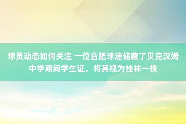 球员动态如何关注 一位合肥球迷储藏了贝克汉姆中学期间学生证，将其视为桂林一枝