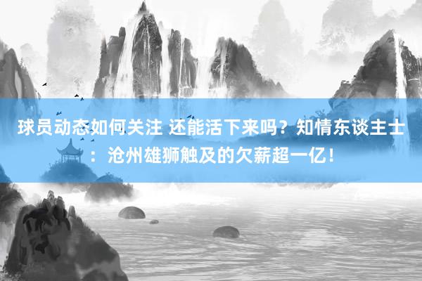 球员动态如何关注 还能活下来吗？知情东谈主士：沧州雄狮触及的欠薪超一亿！