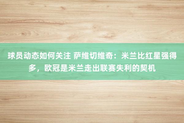 球员动态如何关注 萨维切维奇：米兰比红星强得多，欧冠是米兰走出联赛失利的契机