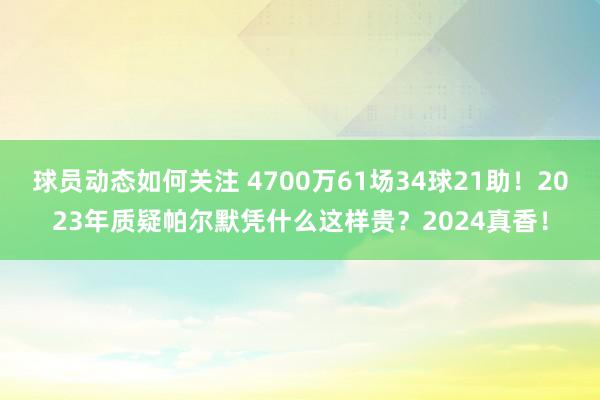 球员动态如何关注 4700万61场34球21助！2023年质疑帕尔默凭什么这样贵？2024真香！