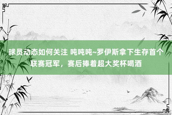 球员动态如何关注 吨吨吨~罗伊斯拿下生存首个联赛冠军，赛后捧着超大奖杯喝酒