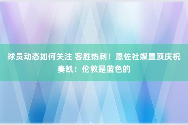 球员动态如何关注 客胜热刺！恩佐社媒置顶庆祝奏凯：伦敦是蓝色的