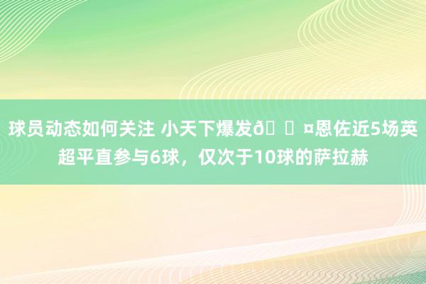 球员动态如何关注 小天下爆发😤恩佐近5场英超平直参与6球，仅次于10球的萨拉赫