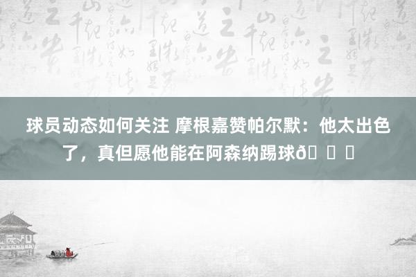 球员动态如何关注 摩根嘉赞帕尔默：他太出色了，真但愿他能在阿森纳踢球👍