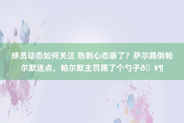 球员动态如何关注 热刺心态崩了？萨尔踢倒帕尔默送点，帕尔默主罚踢了个勺子🥶