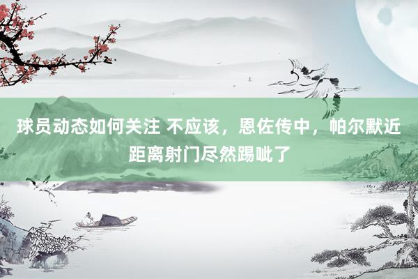 球员动态如何关注 不应该，恩佐传中，帕尔默近距离射门尽然踢呲了