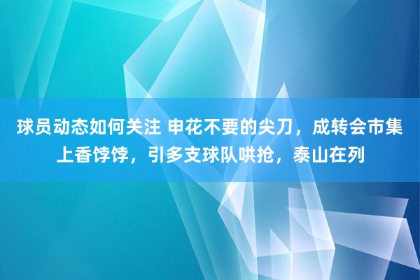 球员动态如何关注 申花不要的尖刀，成转会市集上香饽饽，引多支球队哄抢，泰山在列