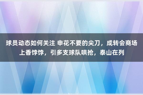 球员动态如何关注 申花不要的尖刀，成转会商场上香饽饽，引多支球队哄抢，泰山在列