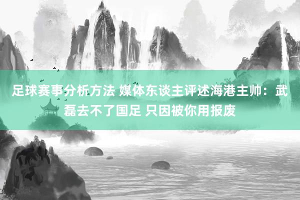 足球赛事分析方法 媒体东谈主评述海港主帅：武磊去不了国足 只因被你用报废